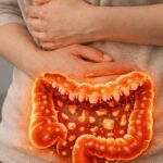 Illustration of the gut