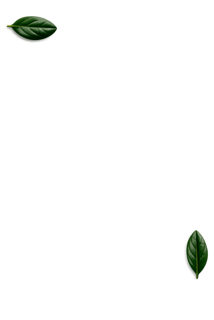 PNG Leaf Background