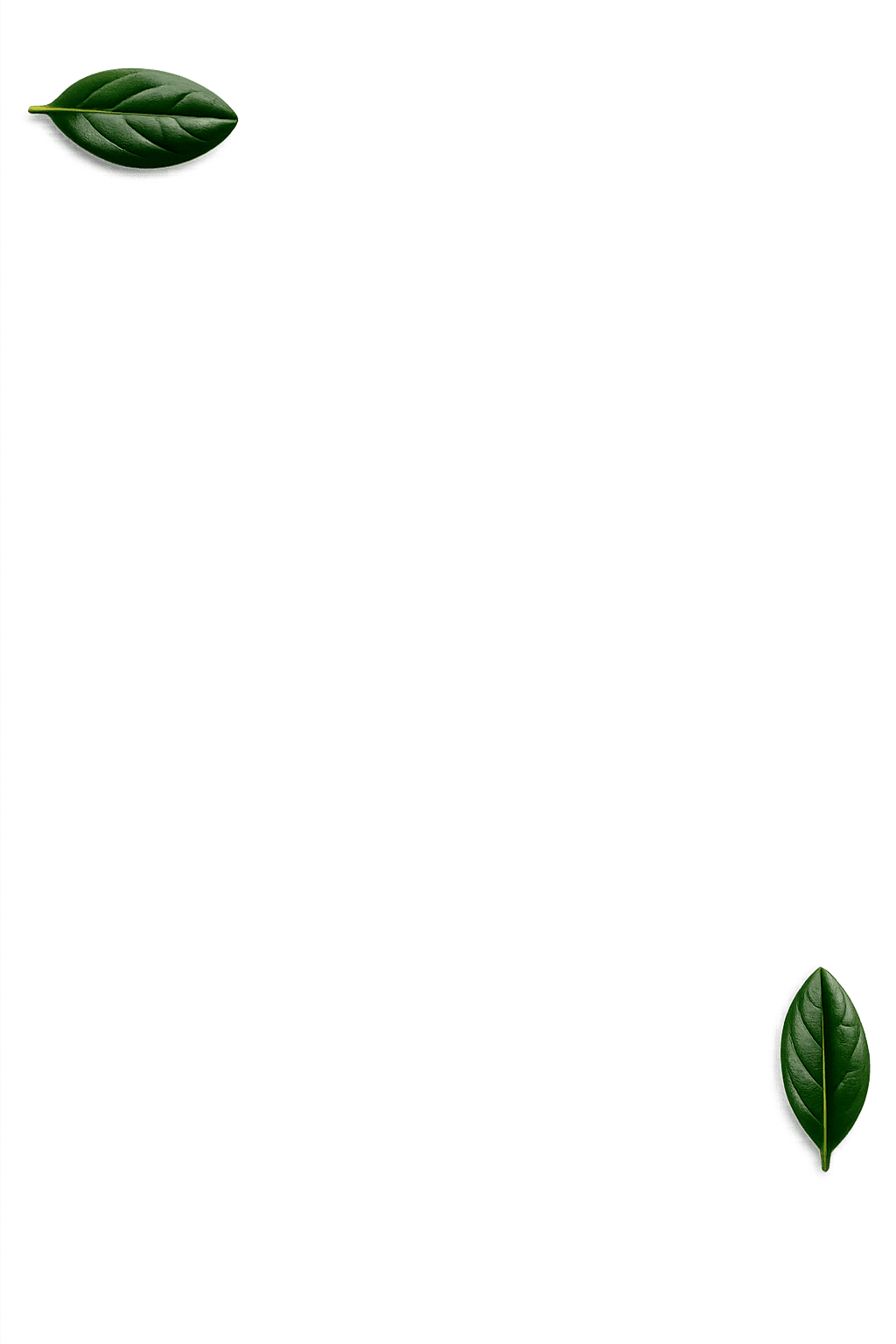 PNG Leaf Background
